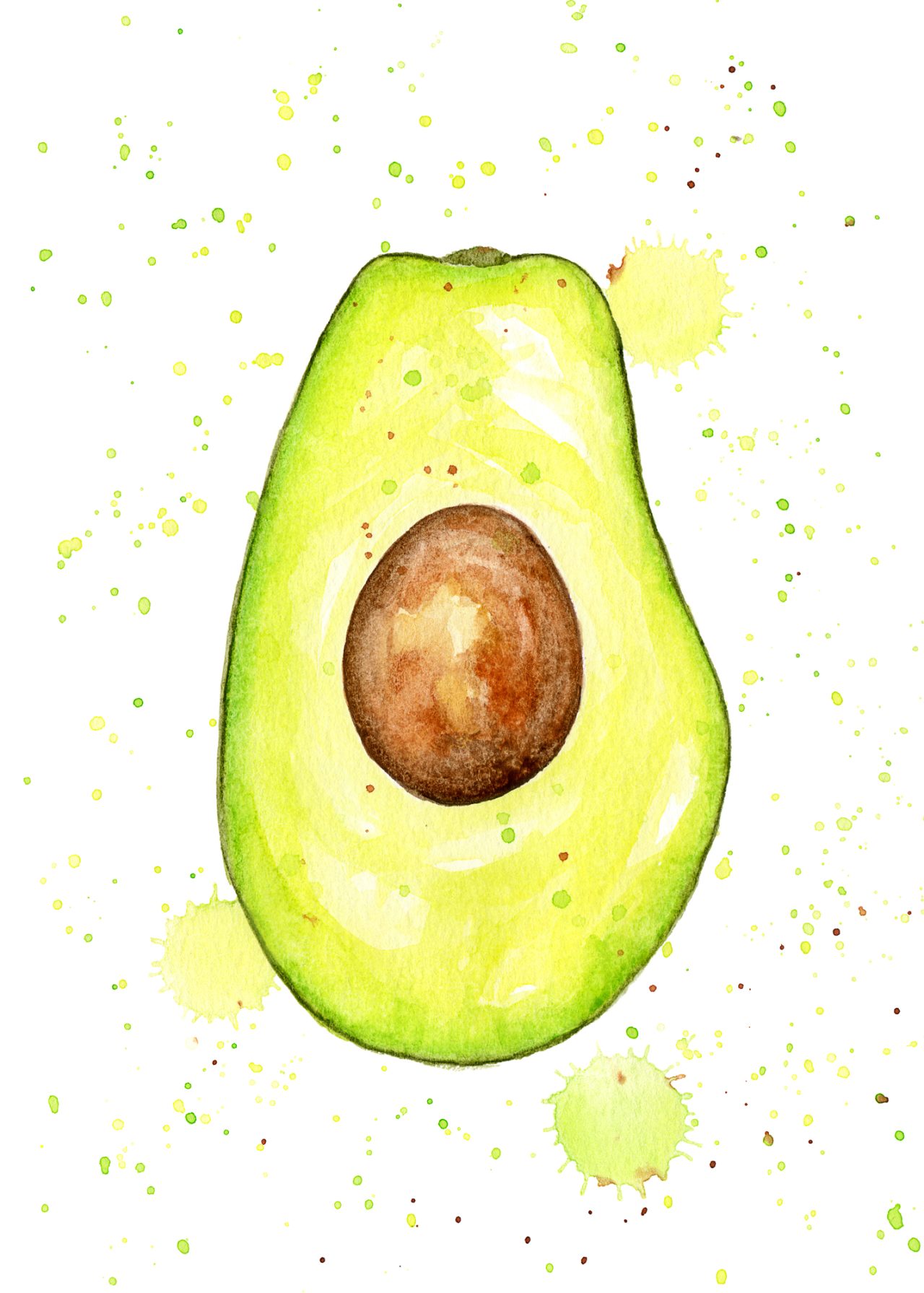 Avocado Watercolor Illustration