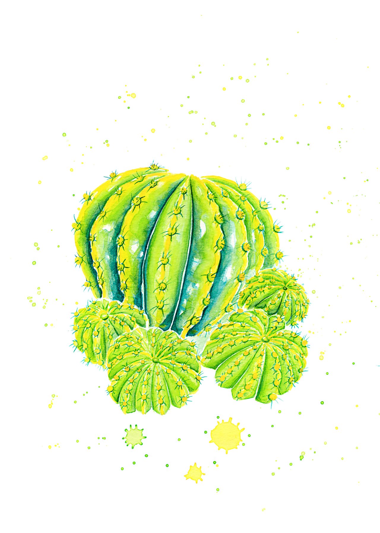 Echinopsis Cactus Watercolor Illustration