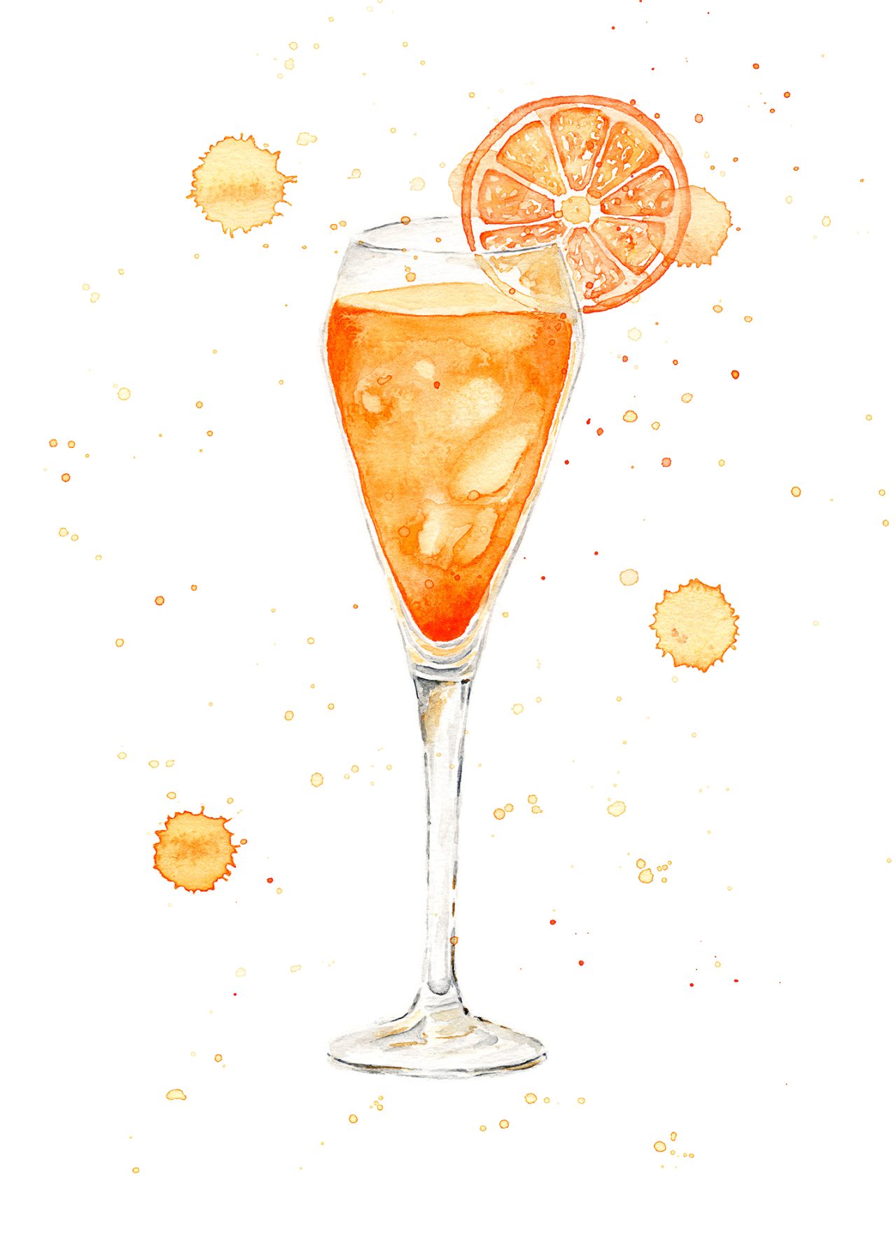 Mimosa Watercolor Illustration