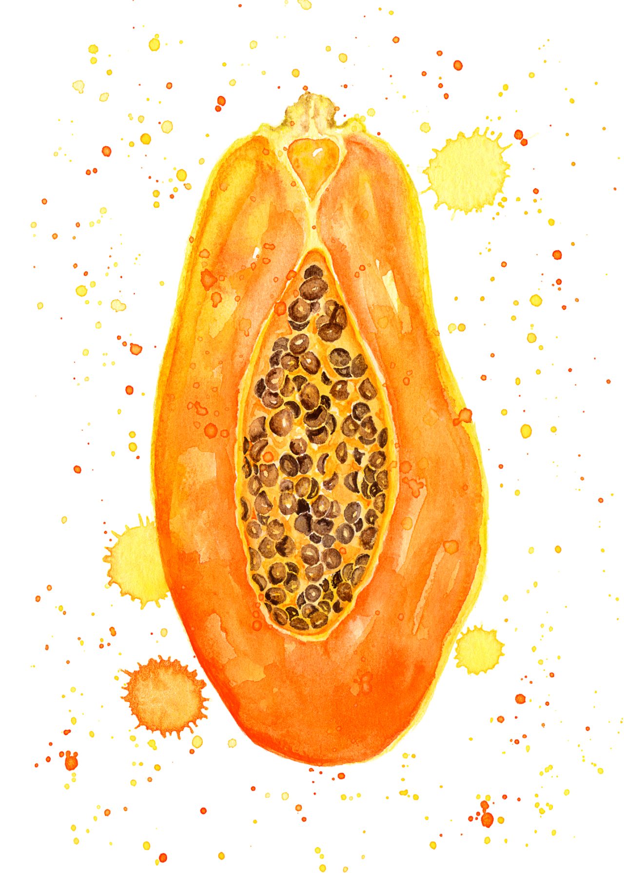 Papaya Watercolor Illustration