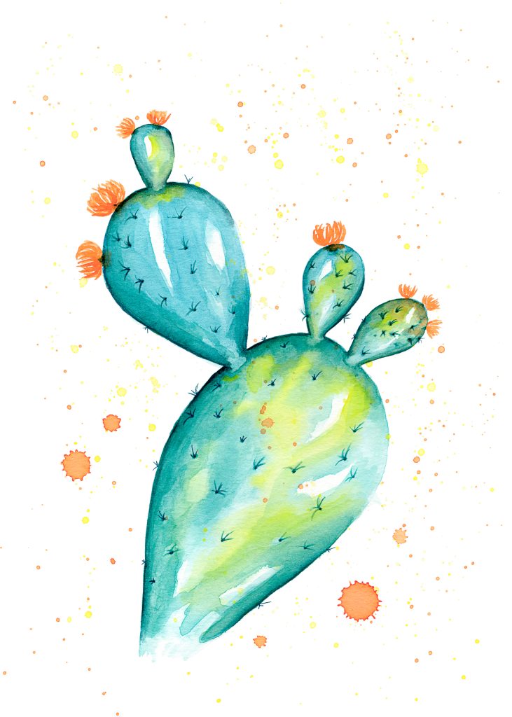 Prickly Pear Cactus Watercolor Illustration