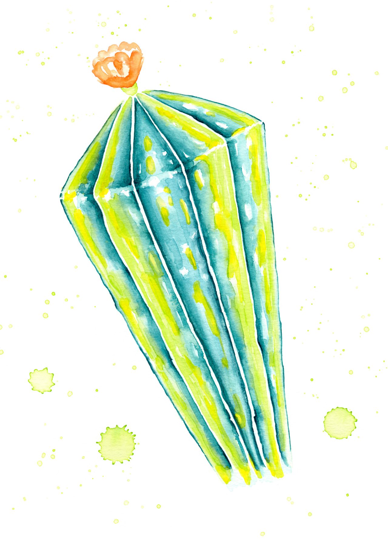 San Pedro Cactus Watercolor Illustration
